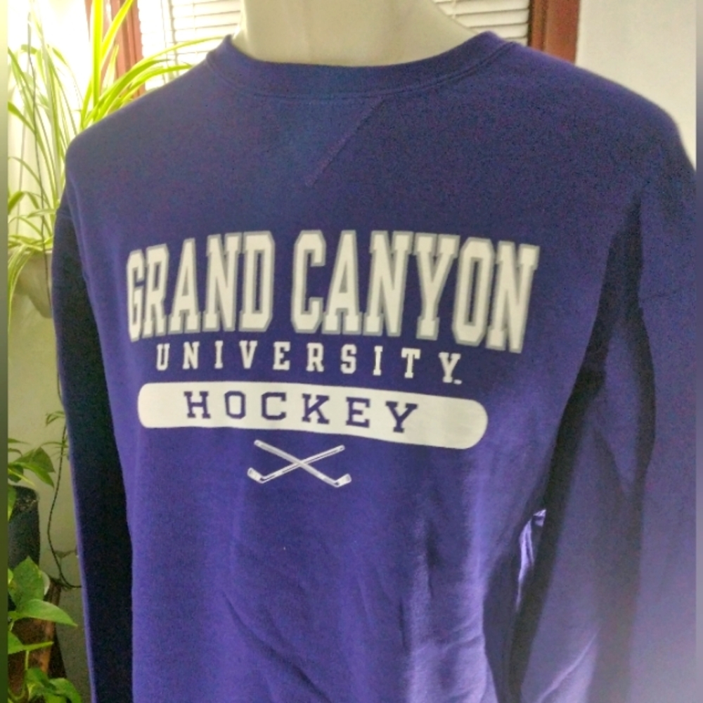 - Adult sweatshirt  purple color (size) large Grand Canyon Universi…